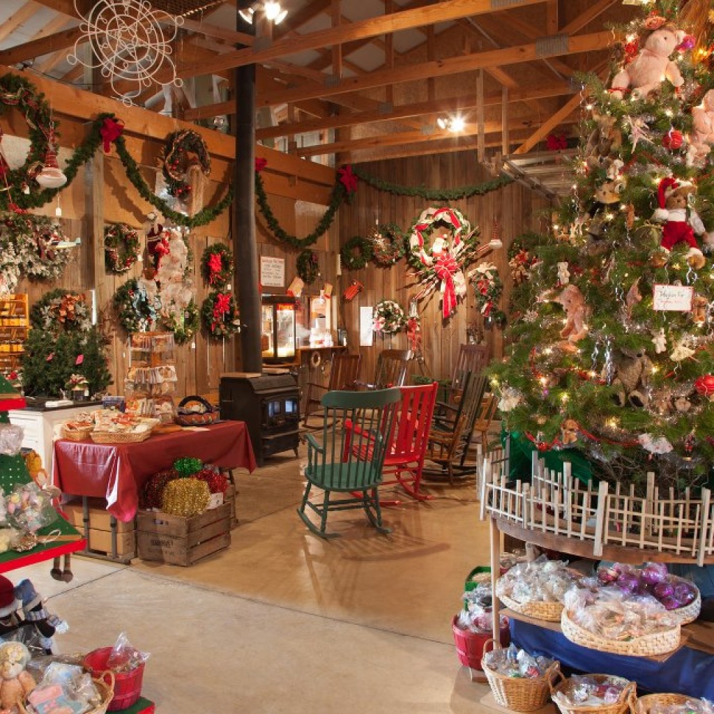 Gift Shop | Galehouse Tree Farm